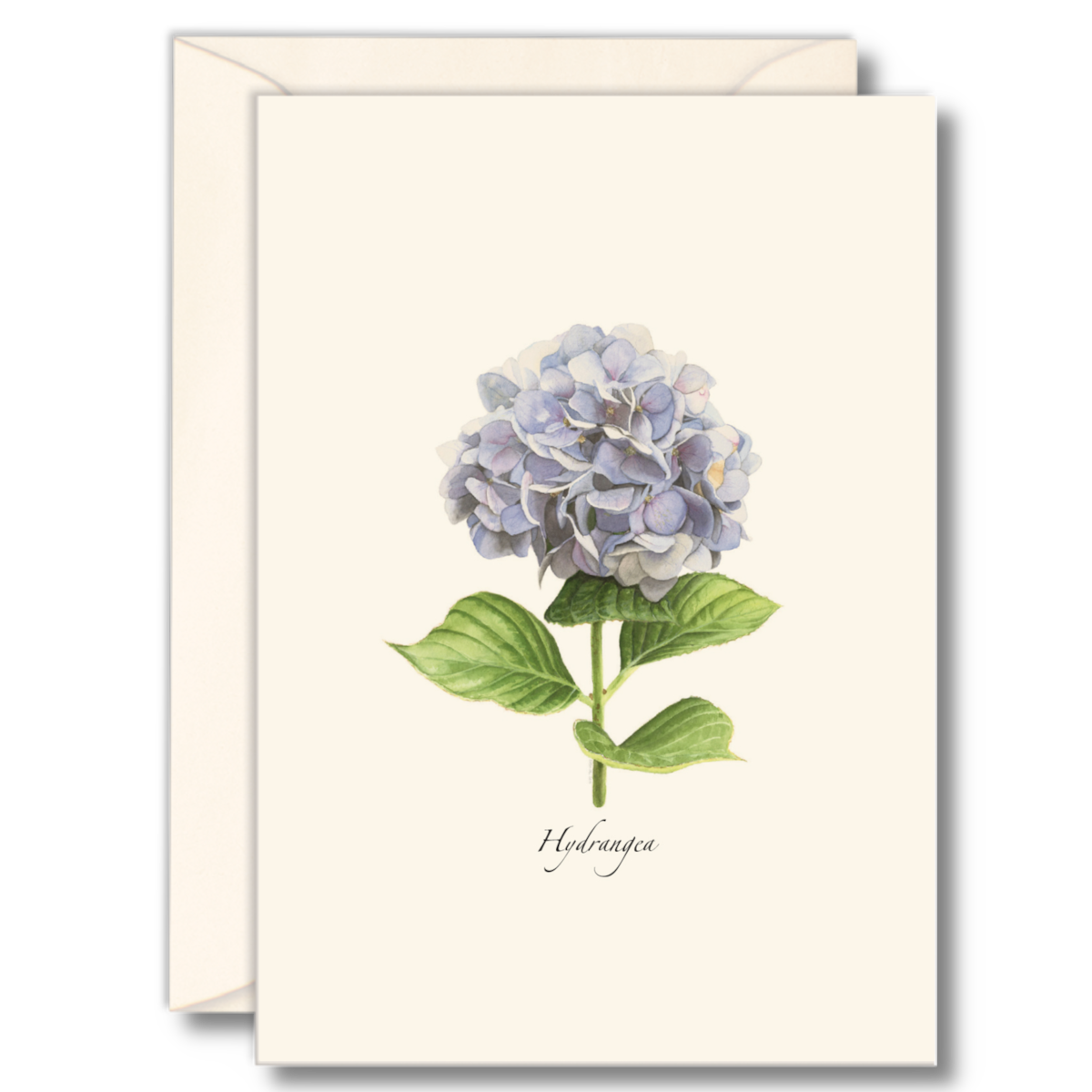 Hydrangea Recycled Paper Notecard Set