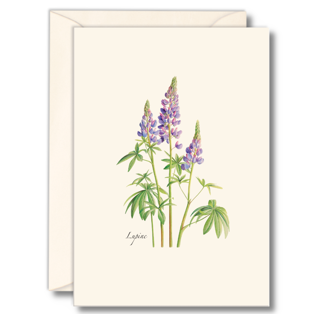 Lupine Notecard Set on Recycled Paper with Envelopes
